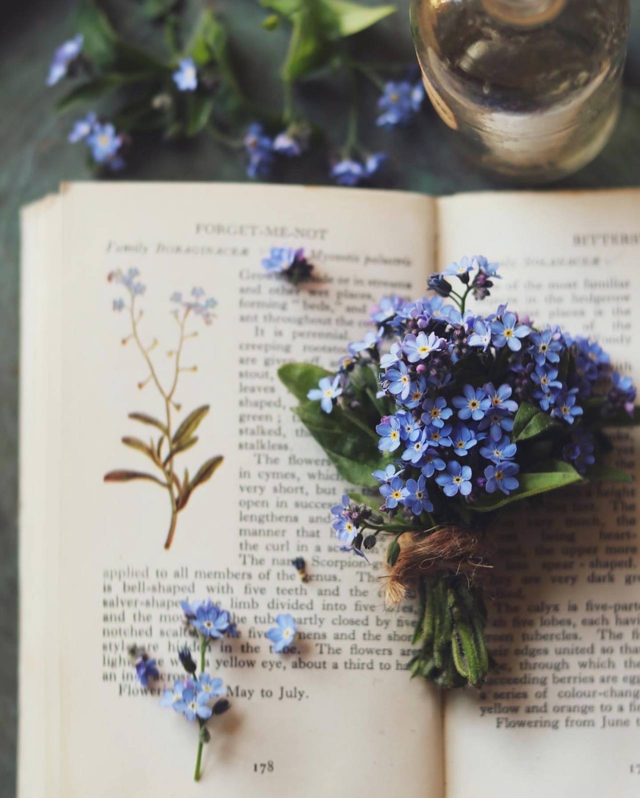 Не шуточные стихи