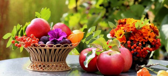 Летняя вкусо-мания