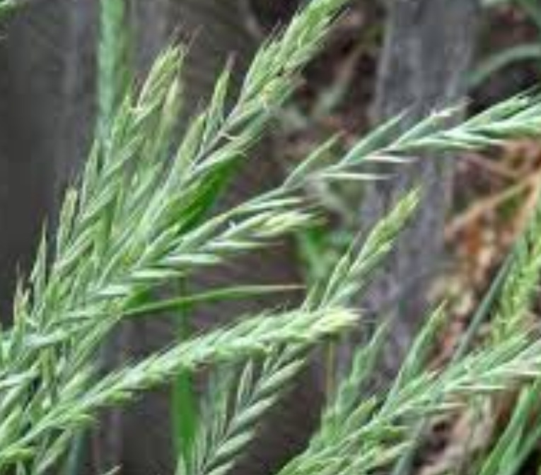 Отпечатки - природа дышит беспокойно...