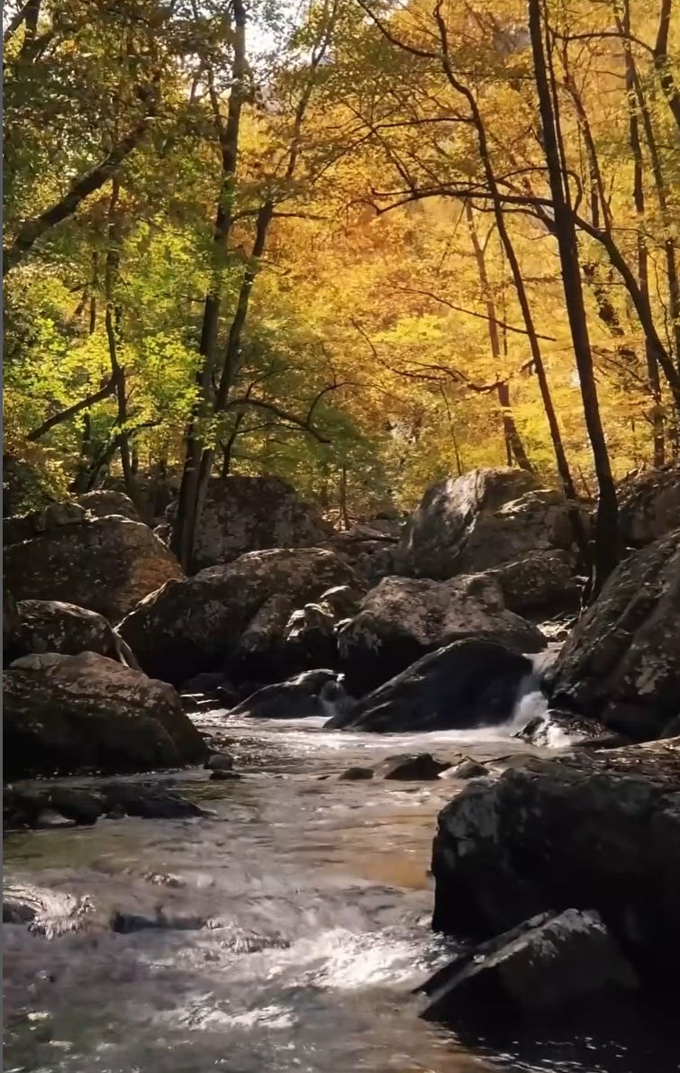 Я поэт Да я поэт, слагаю строчки, пишу рифмы