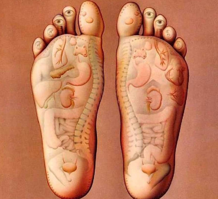 Загадки про стопы, ступни ног