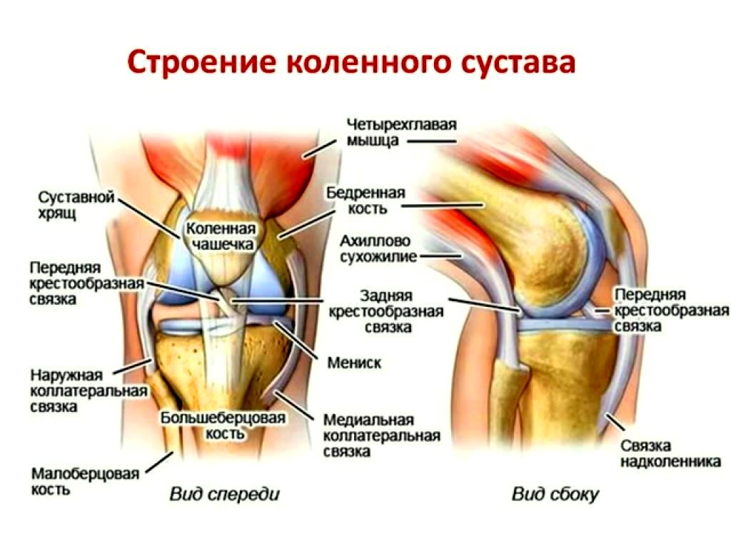 Где Можно Купить Сустав Про