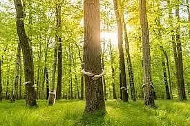 Земля не виновата