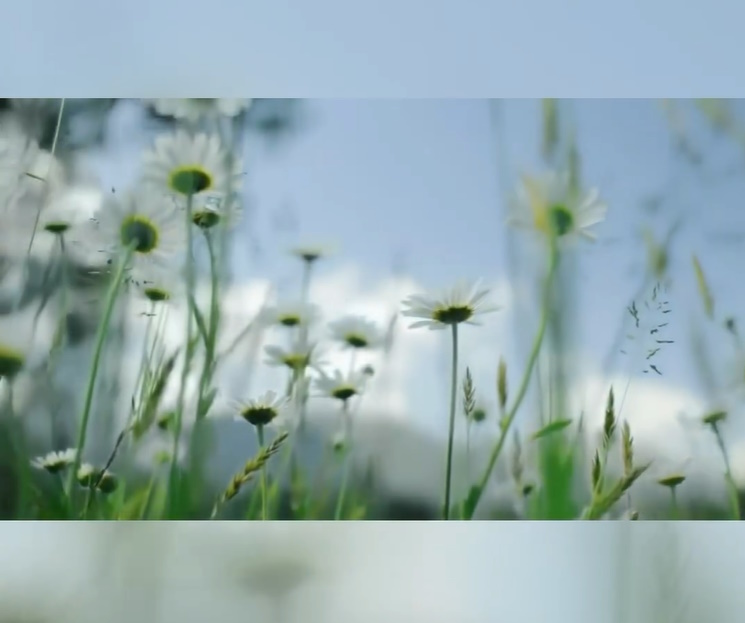 Так удивительна моментом