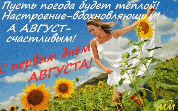 Астрами украшен...