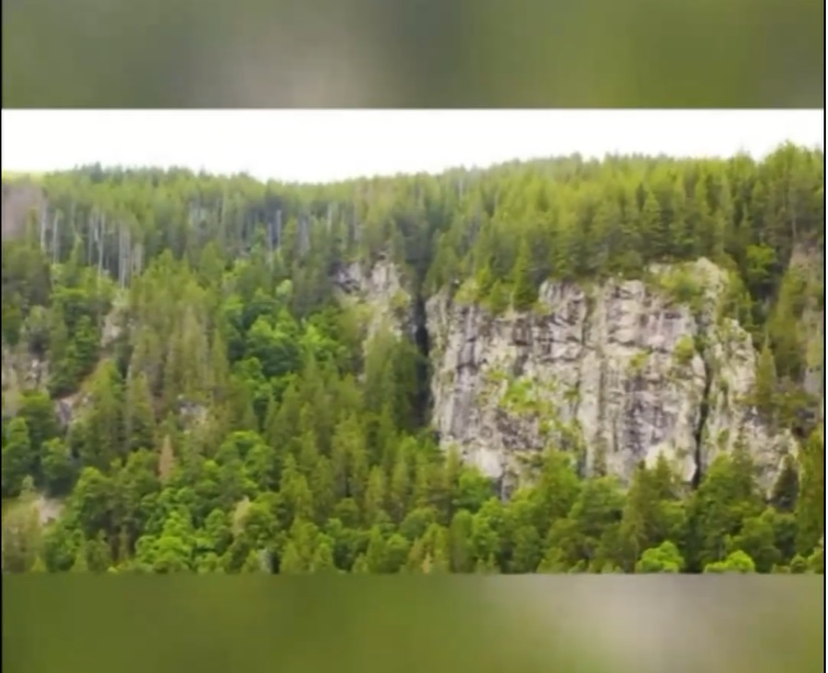 Поэт ли я, поэт ли я, я задаю себе вопрос