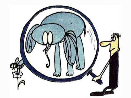 Глупый зоолог