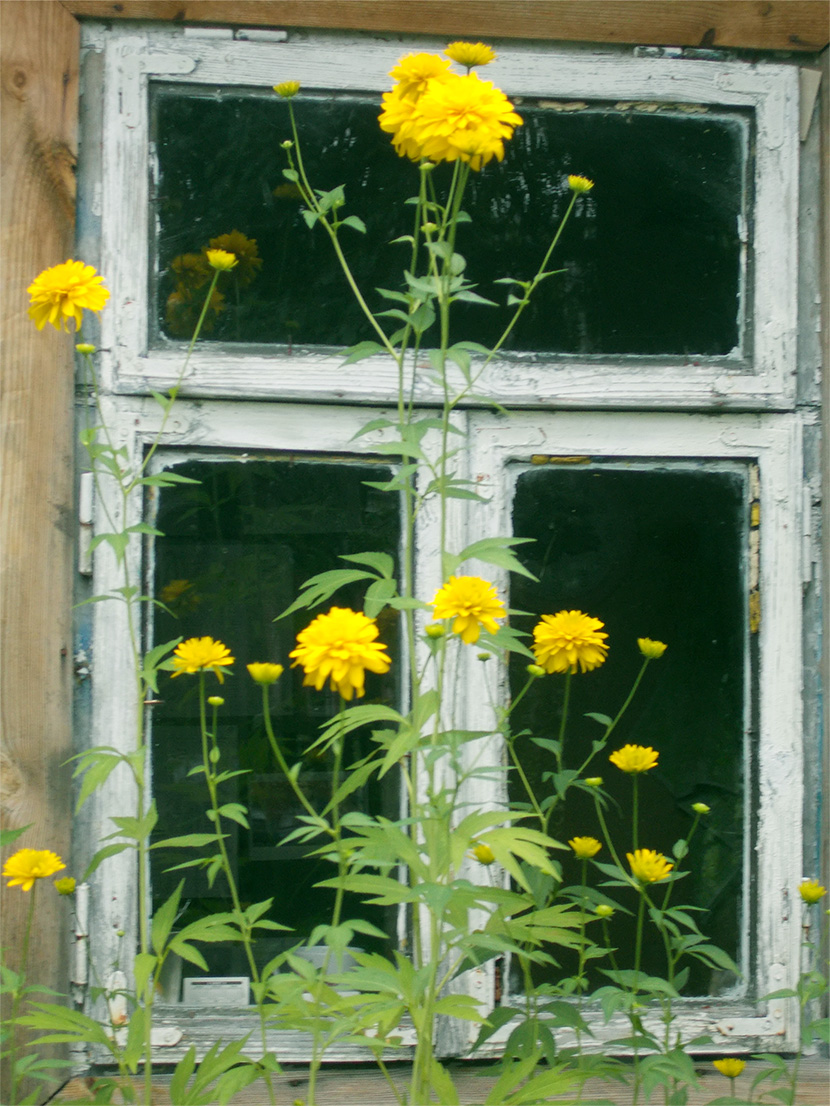 Суток жэ мало ля тэйи банды