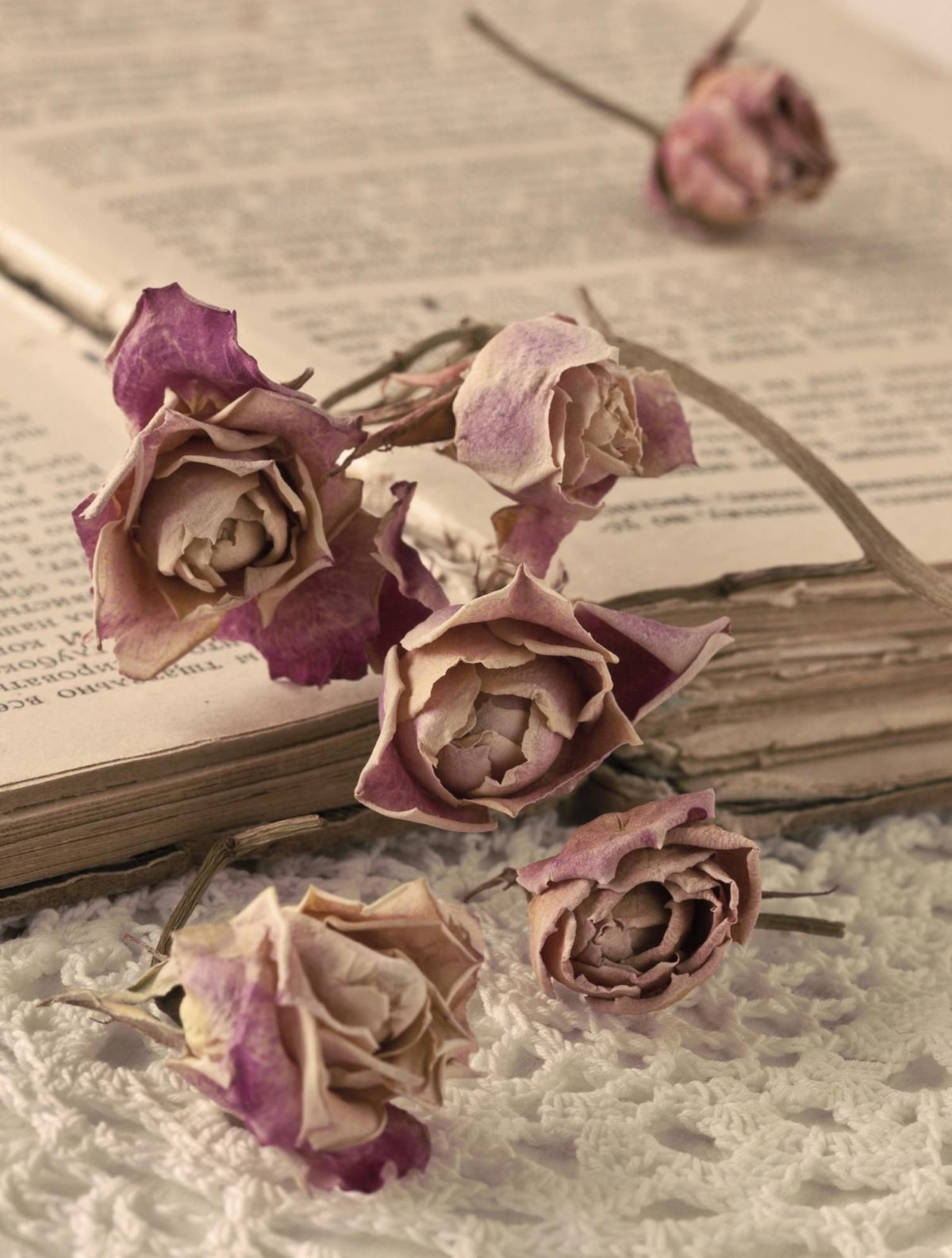 Превратности любви