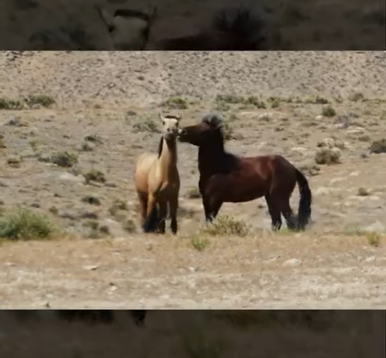 Мне дали слово, говорить?