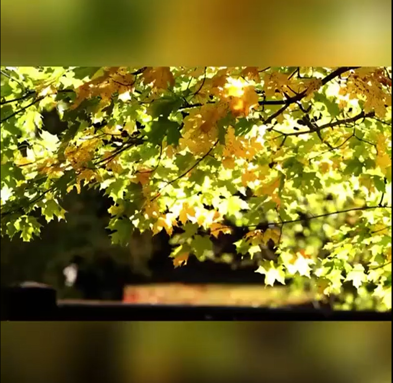 Проходит лето уж сентябрь, стучится