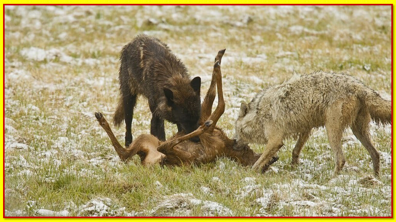 Дружеское пожелание автору понравившегося стиха