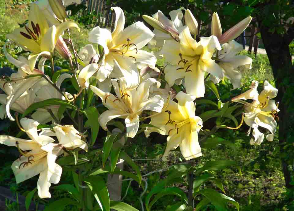 Было. Теперки нымае