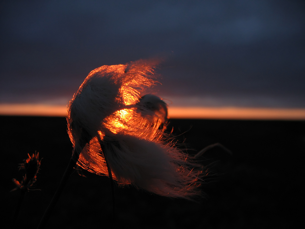 Предел непостоянству