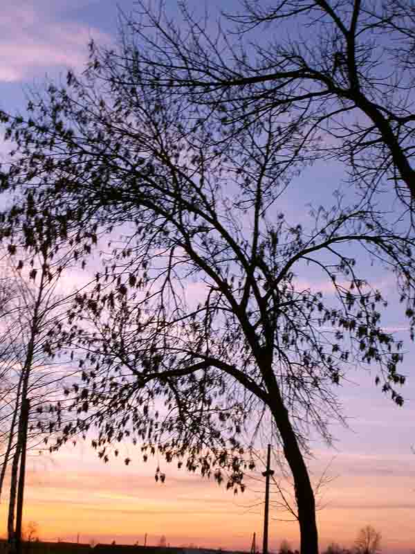 Мы мирные воины, росы