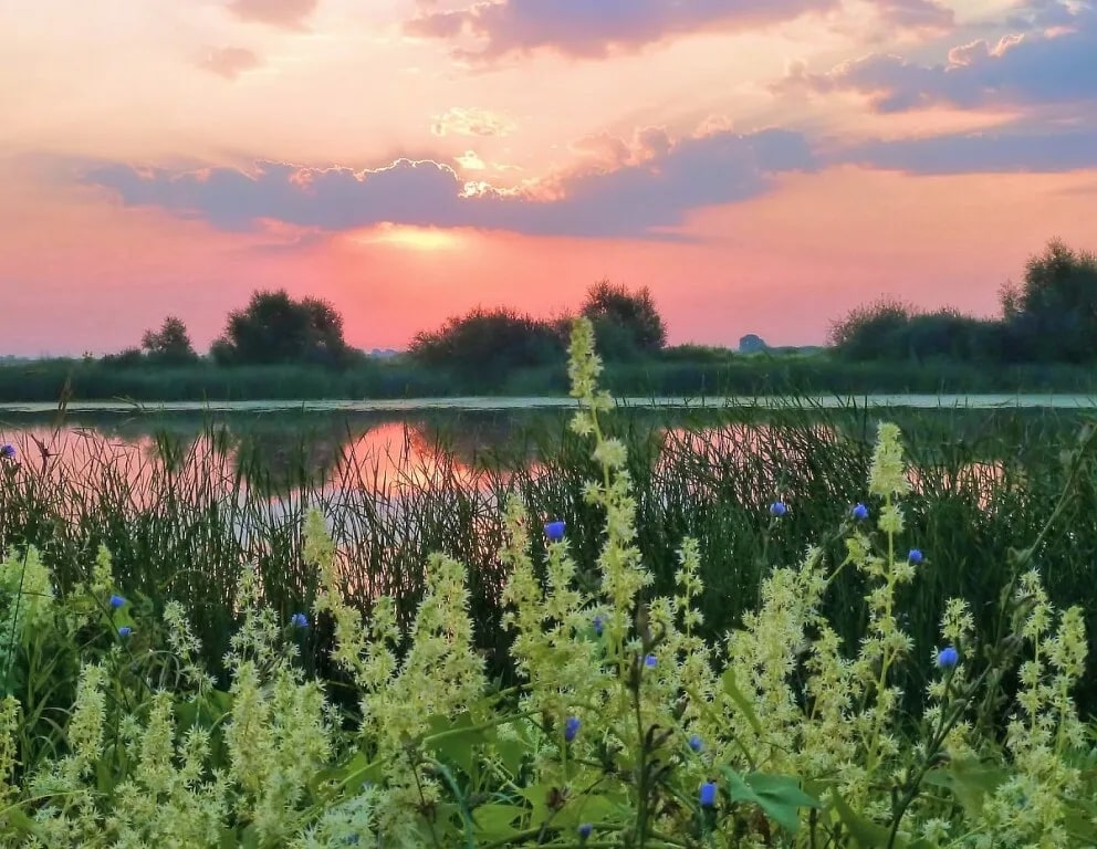 Август тихо крадётся на цыпочках...