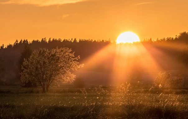 Август - зарёю подсвечен