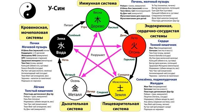 Организм наш как орган!