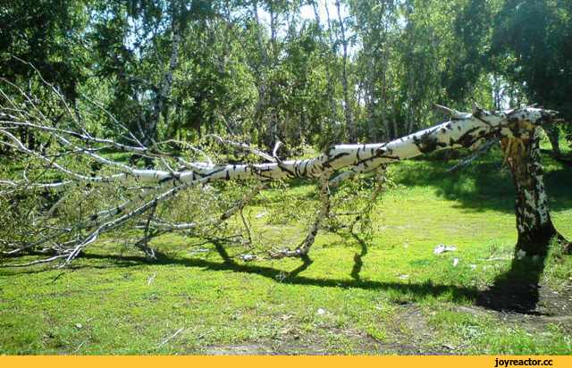 Затихнет ветер