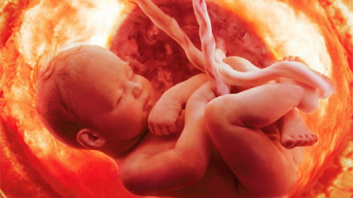 6. Реализация. Бог День Ночь. Управляющий Планетой