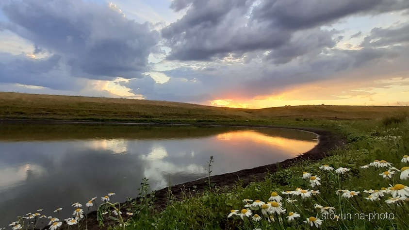 Сон 68. Диких звёзд свет винтажный...