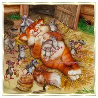 Сюрпризов много не бывает!