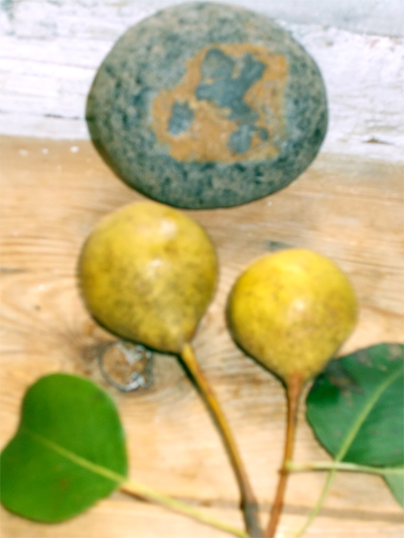 Шо гондэ в мынэ ув Канзась