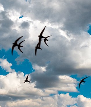 А вы не знаете