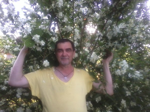 Гадание на лепестках цветущей вишни