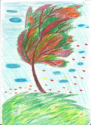 Грёзы дождя