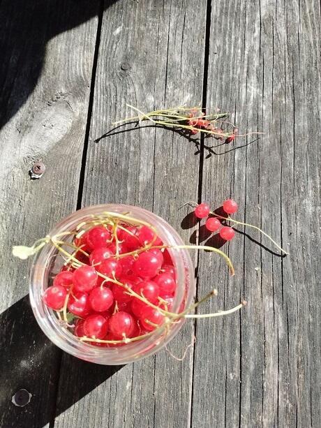 И песнь моя, в словах, звучит - Родная...