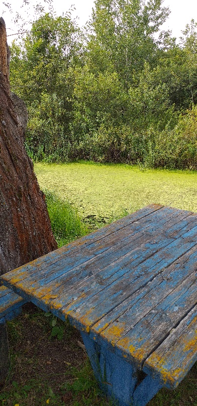 Конечно