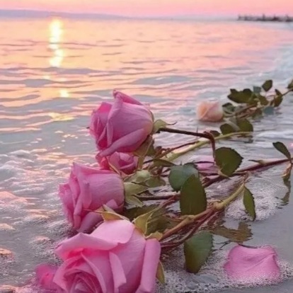 Осенний вечер