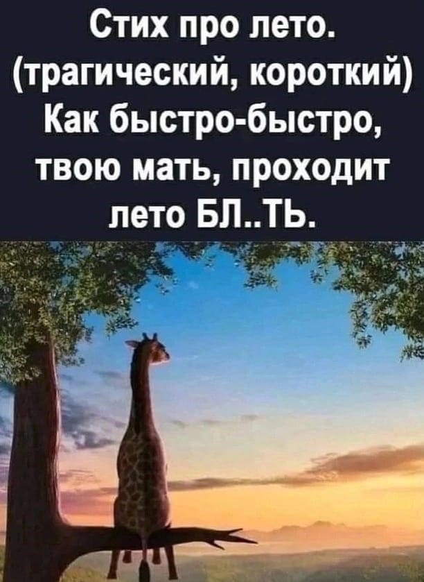 Короче не скажешь...