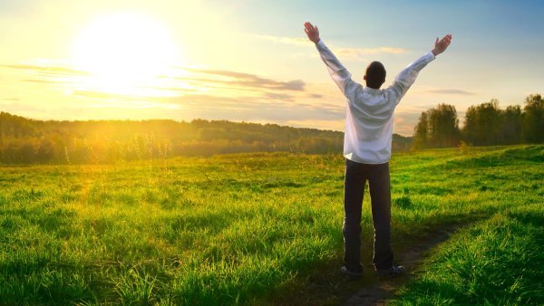 Душой принимаем