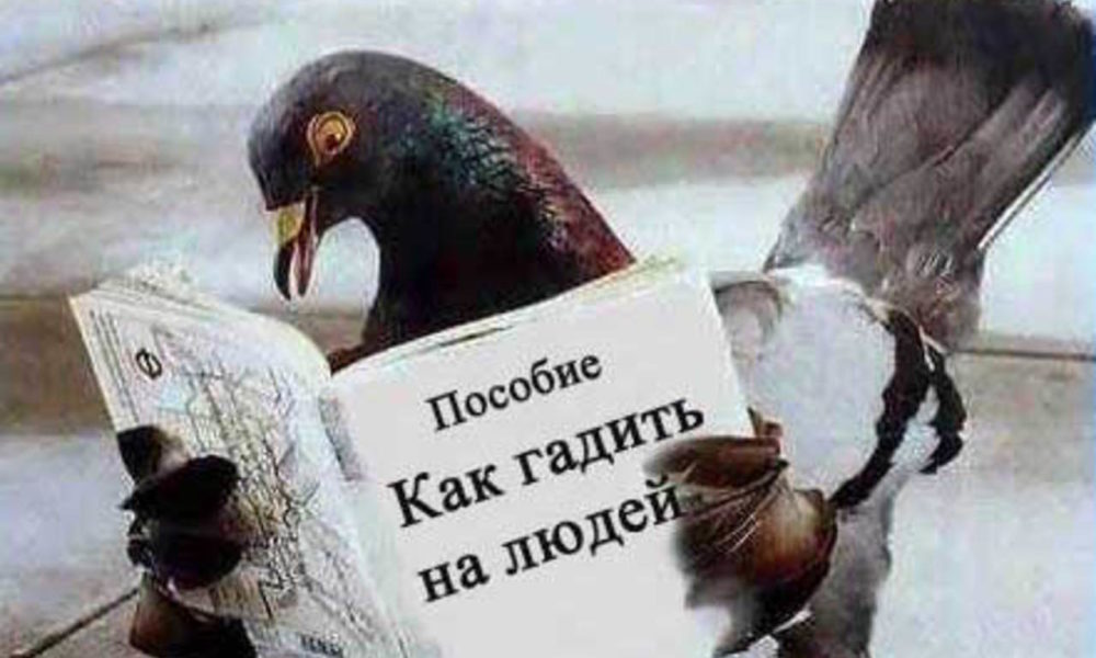 Мотиватор писанины