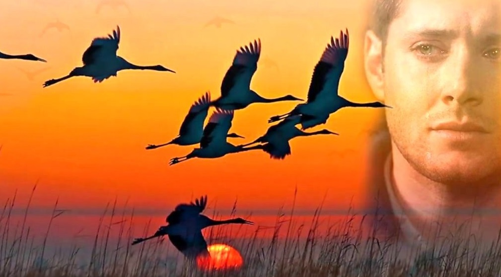 Возраст приходит такой...