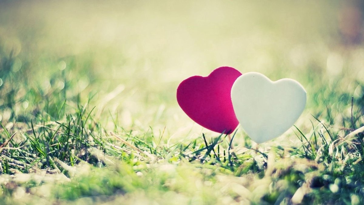 Люблю тебя, любовь моя