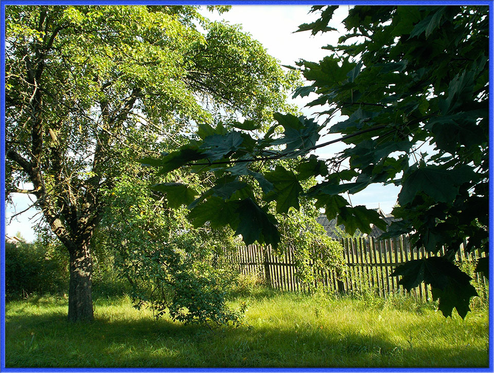 Бичи вам в сыли во прам сина вкосылы?