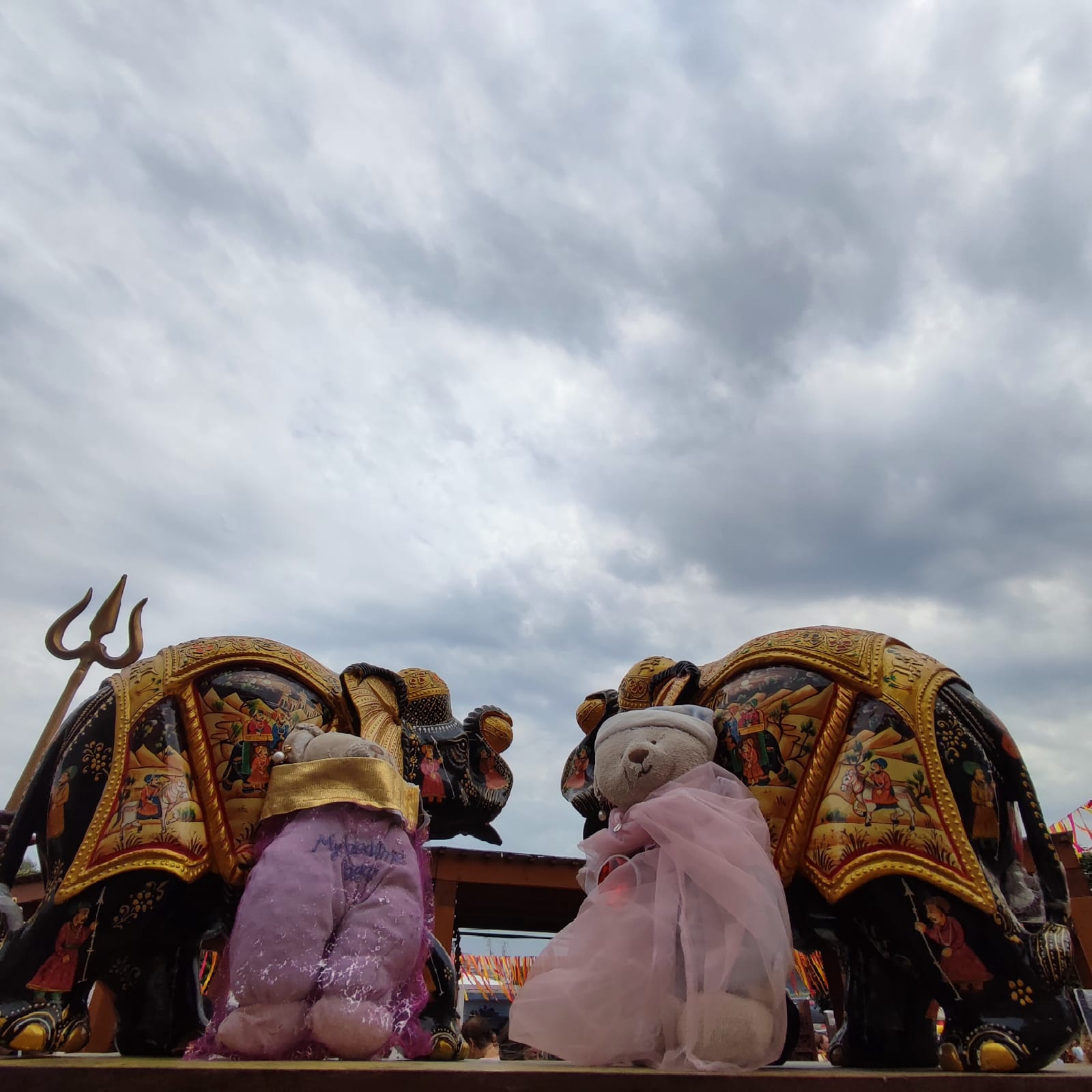 Плюшевые медведи едут в Индию! Махараджи и слоны..