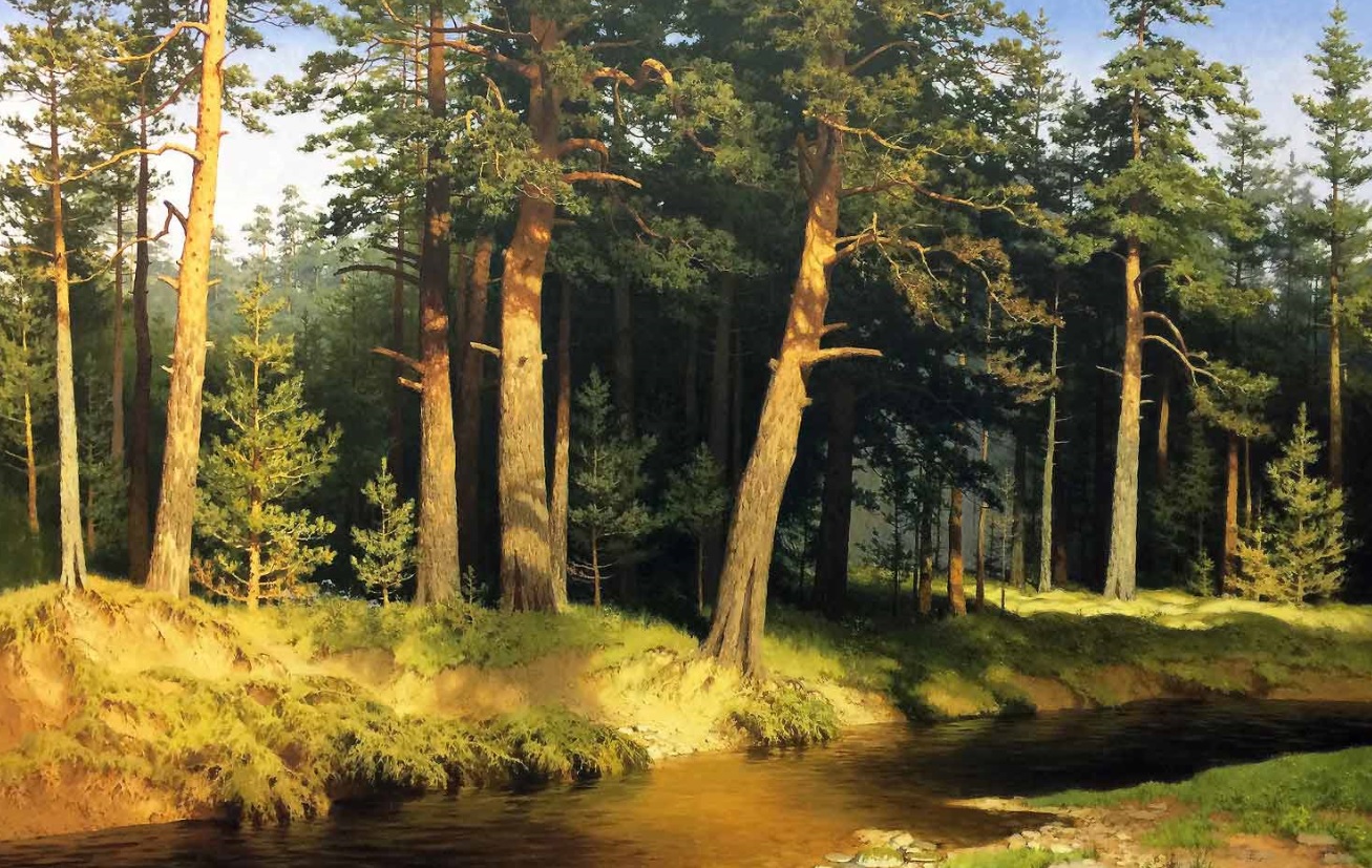 Лето на опушке