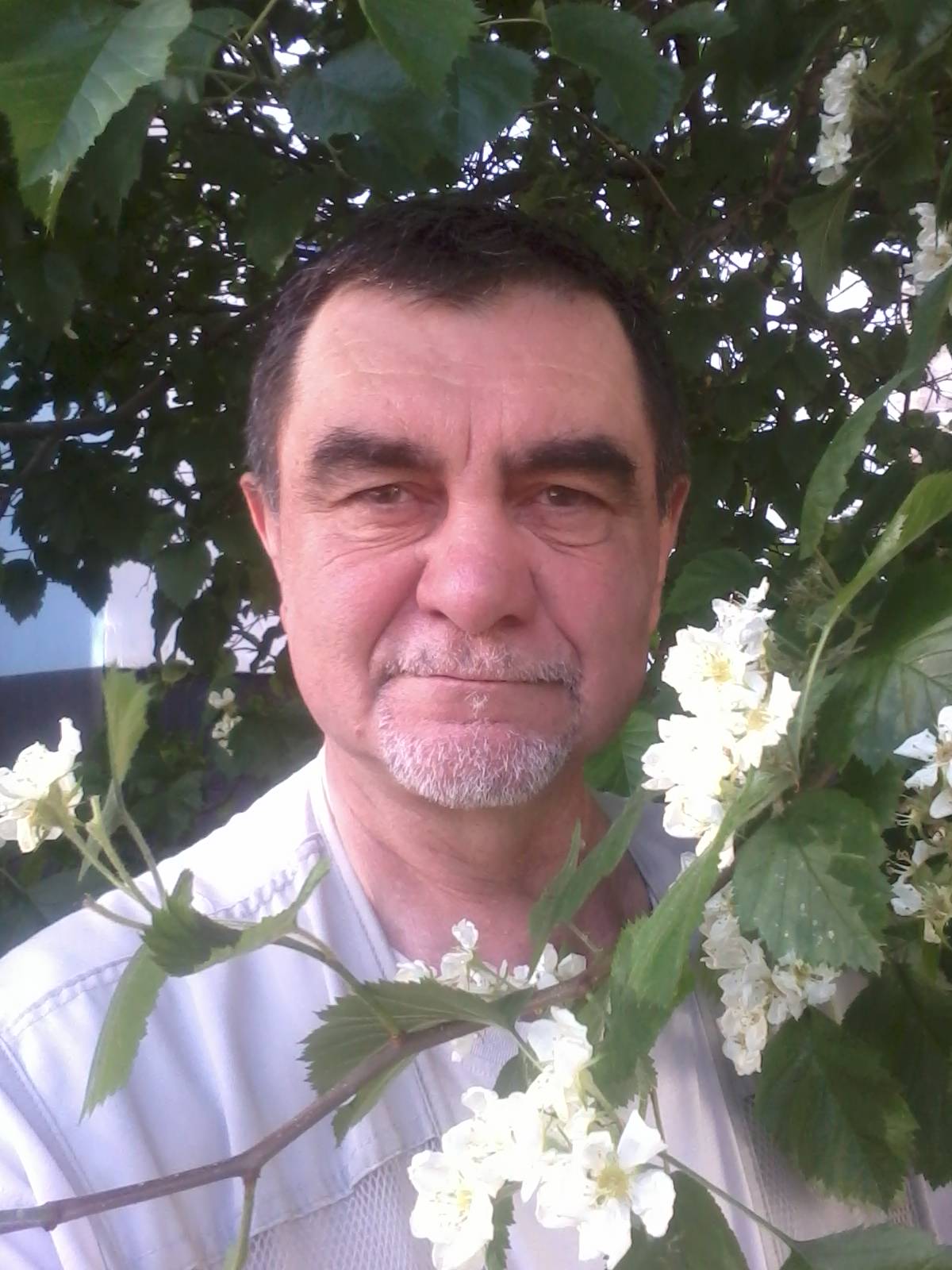 Панагирик вам всем