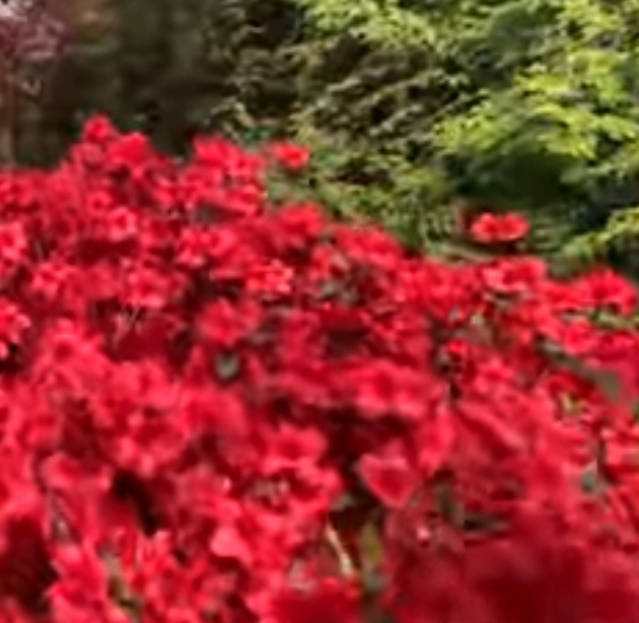 Пошутим - если хочешь стать нетленным...