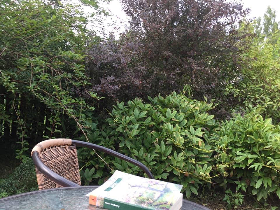 В поисках Пруста