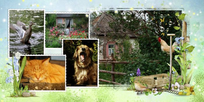 Деревенский двор в августе