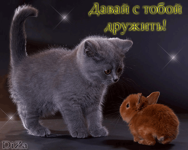 Жажда любви