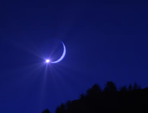 Мечта шагает рядом