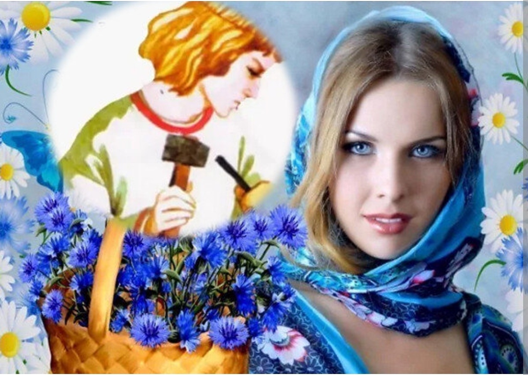 Василёк -ромашка