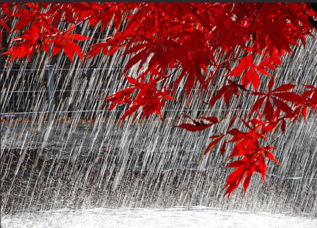 Осенний дождь