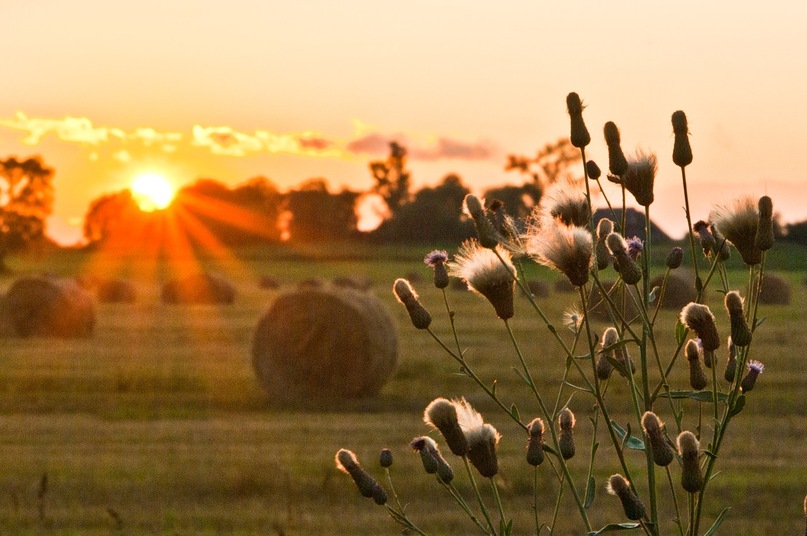 До свидания, Лето!